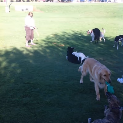 Tempe Sports Complex Dog Park